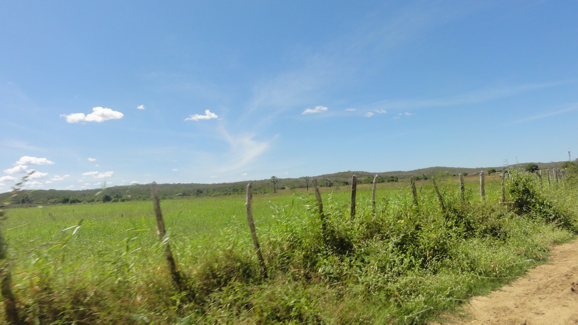 Caio Prado-Ce Fazenda 60 hectares