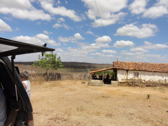 Caio Prado-Ce Fazenda 60 hectares