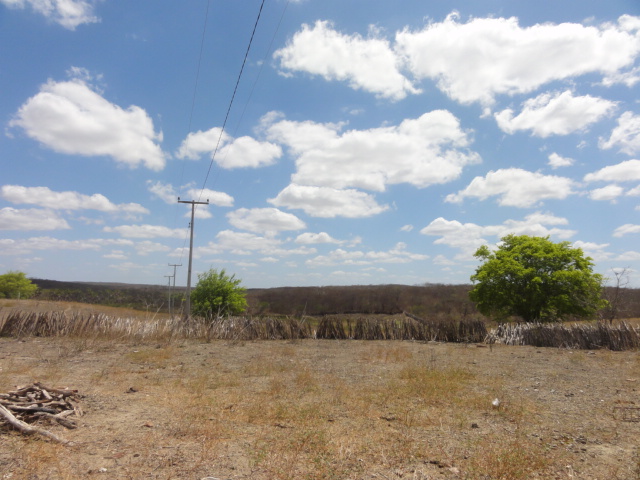 Caio Prado-Ce Fazenda 60 hectares