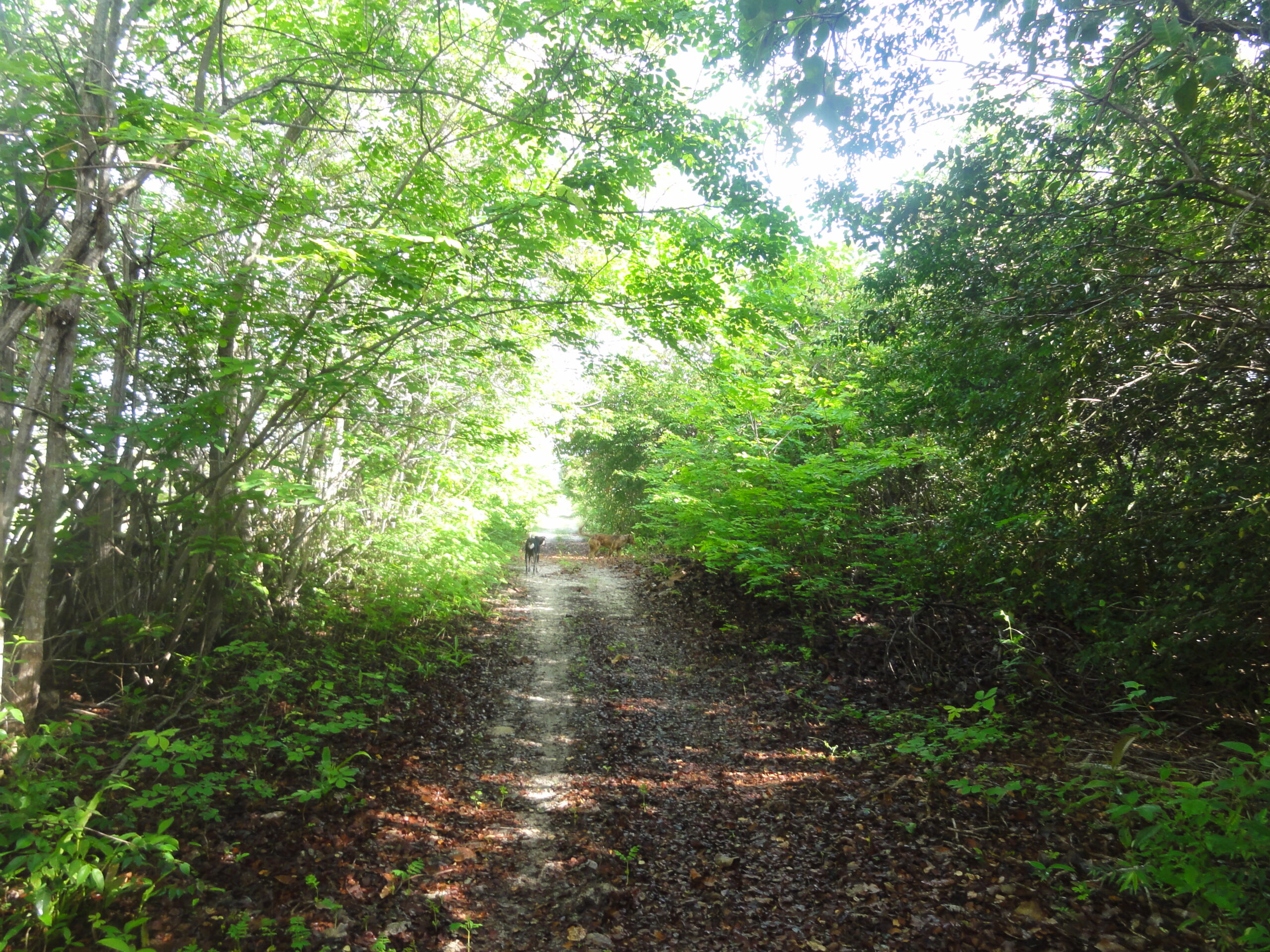 Casa Duplex, 10 hecom Lagoa do Paraiso