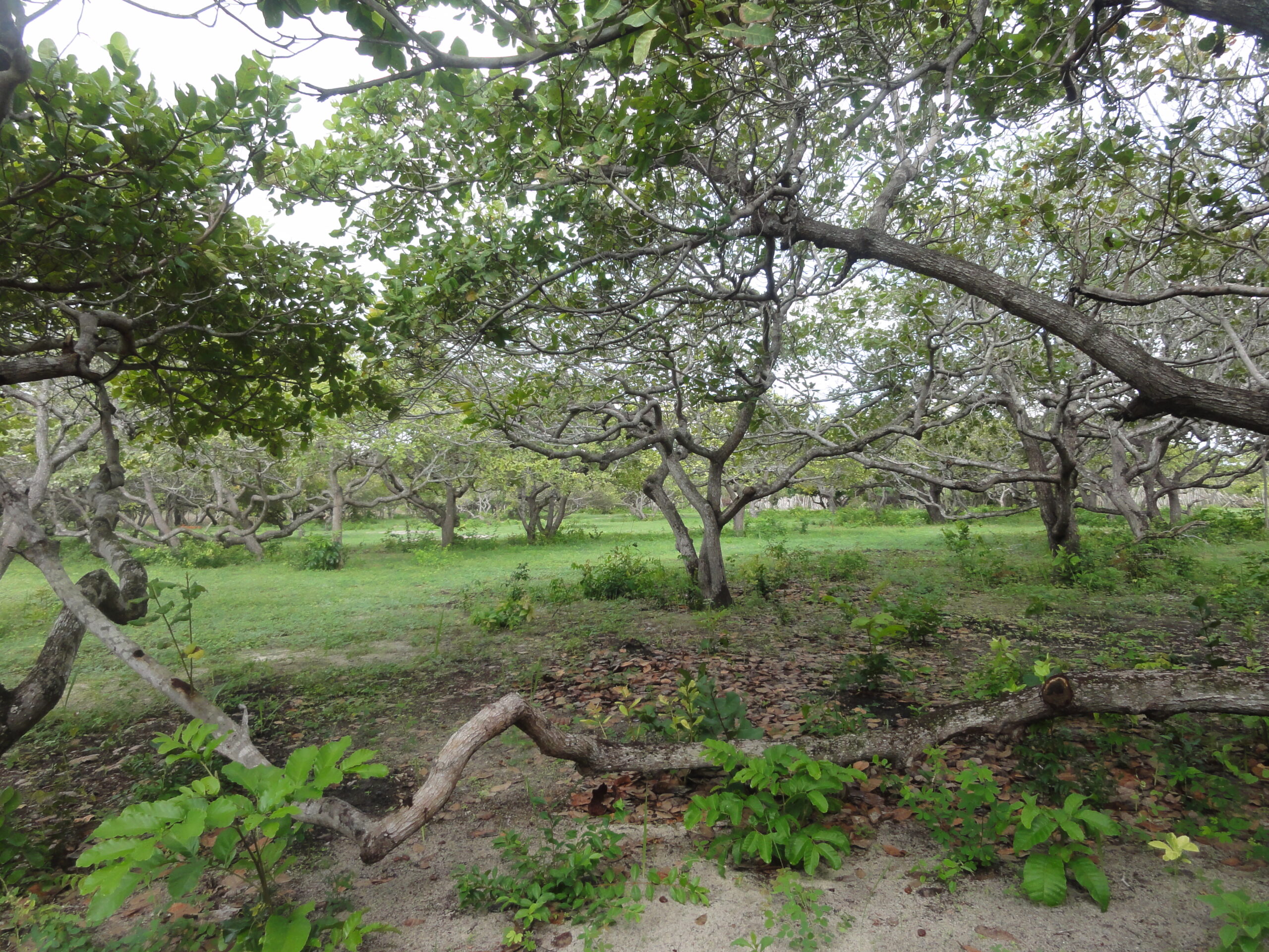 Casa Duplex, 10 hecom Lagoa do Paraiso
