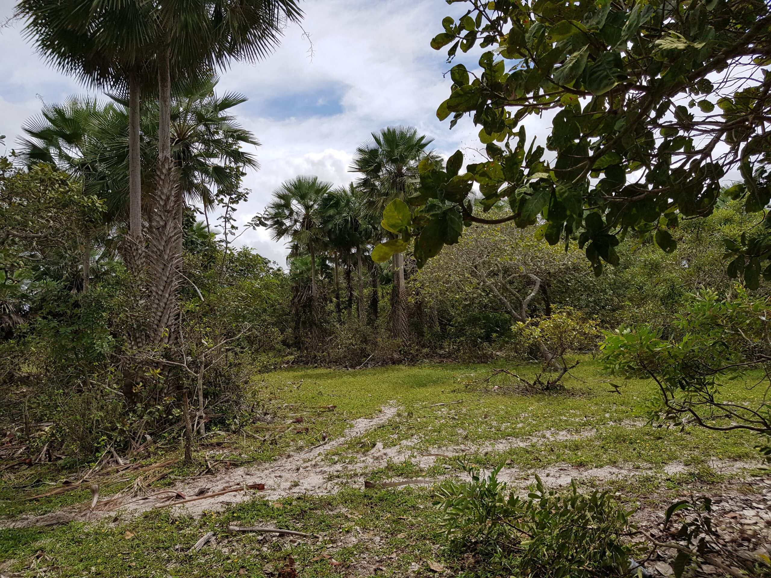 “Lagoa do Paraíso”