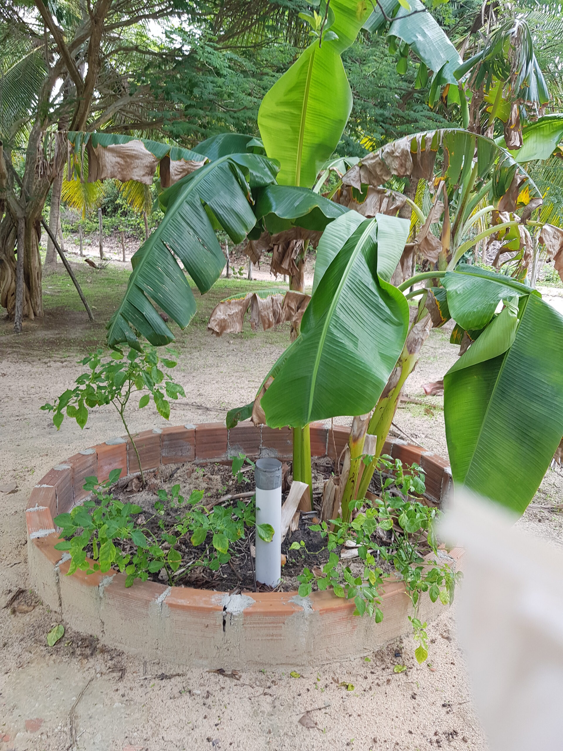 Sítio Lagoa do Paraiso