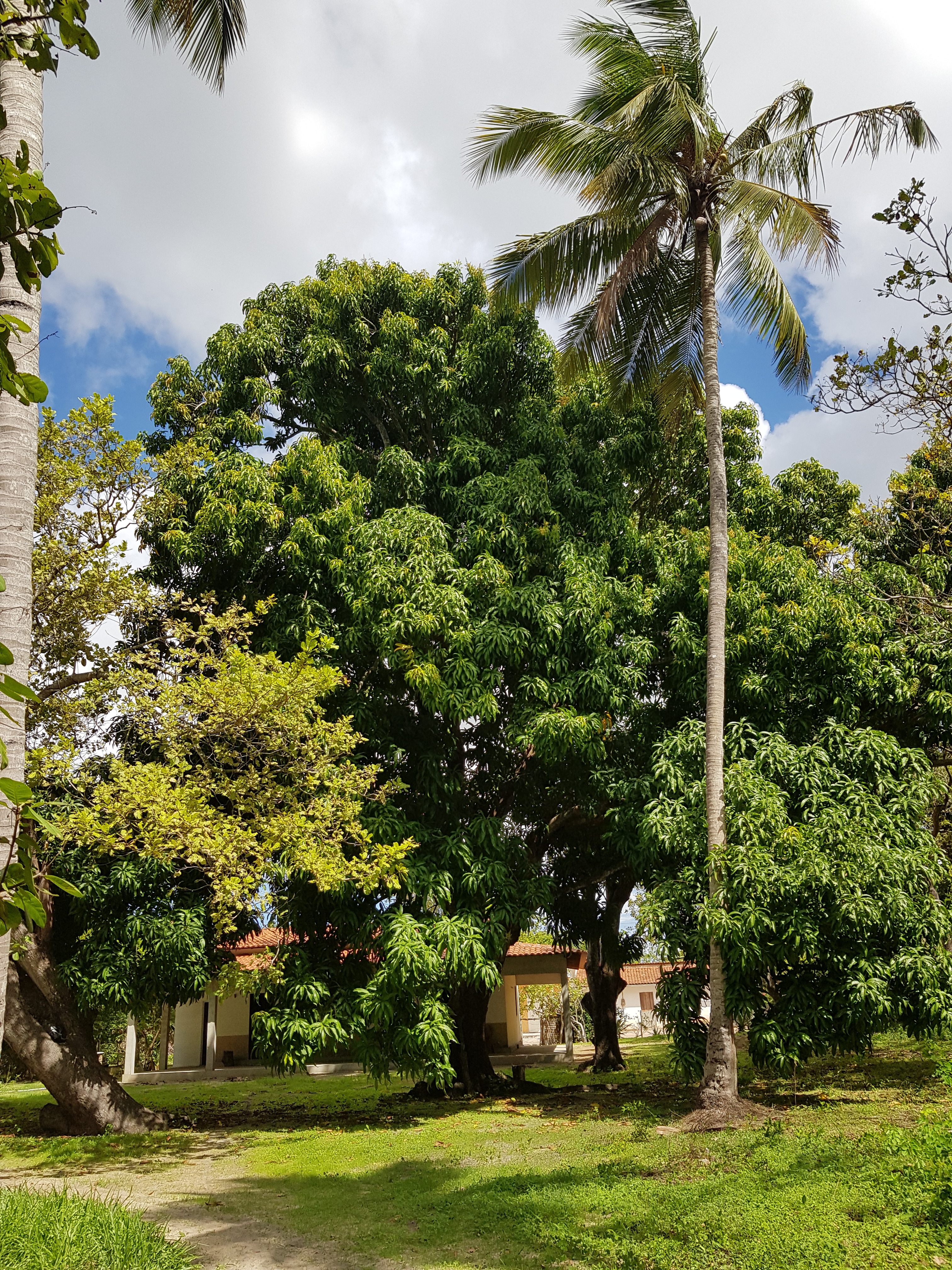 Sítio Lagoa do Paraiso
