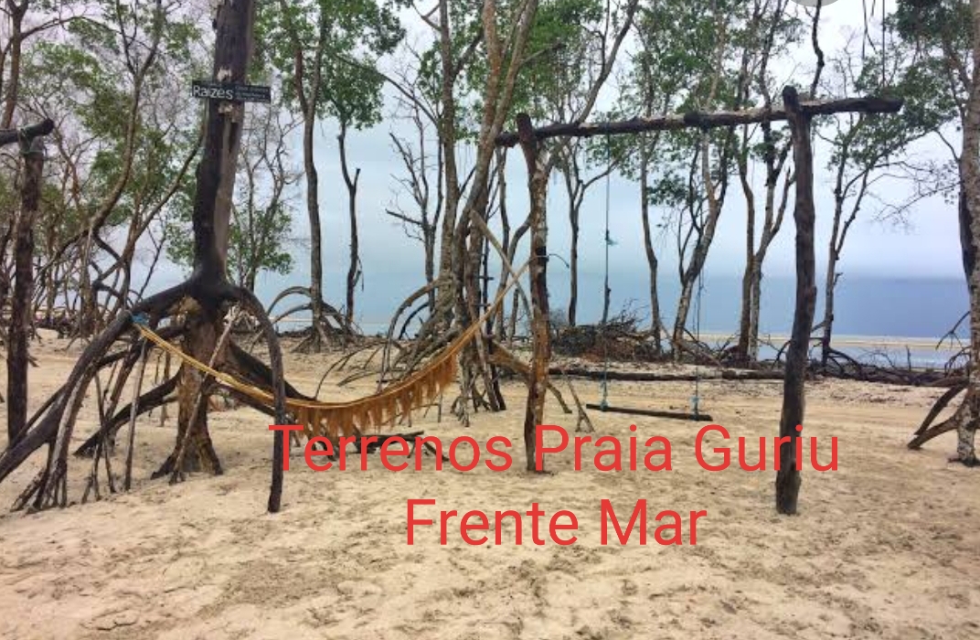 Guriu Frente Mar