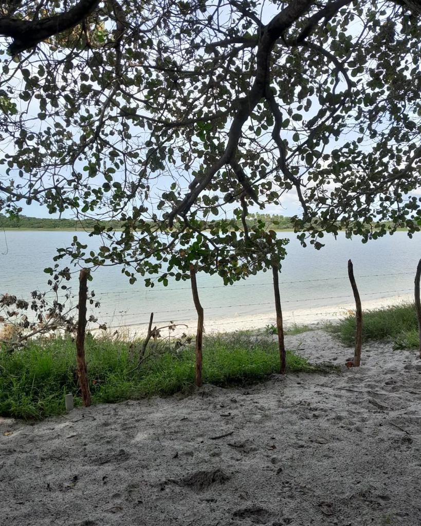 15 x 227 Frente Lagoa do Paraíso