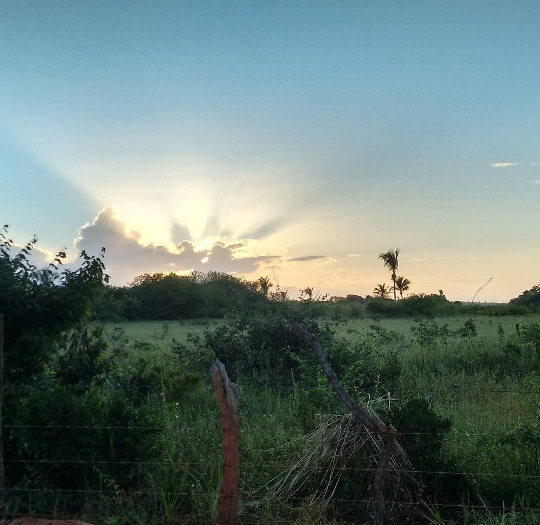 15 x 227 Frente Lagoa do Paraíso