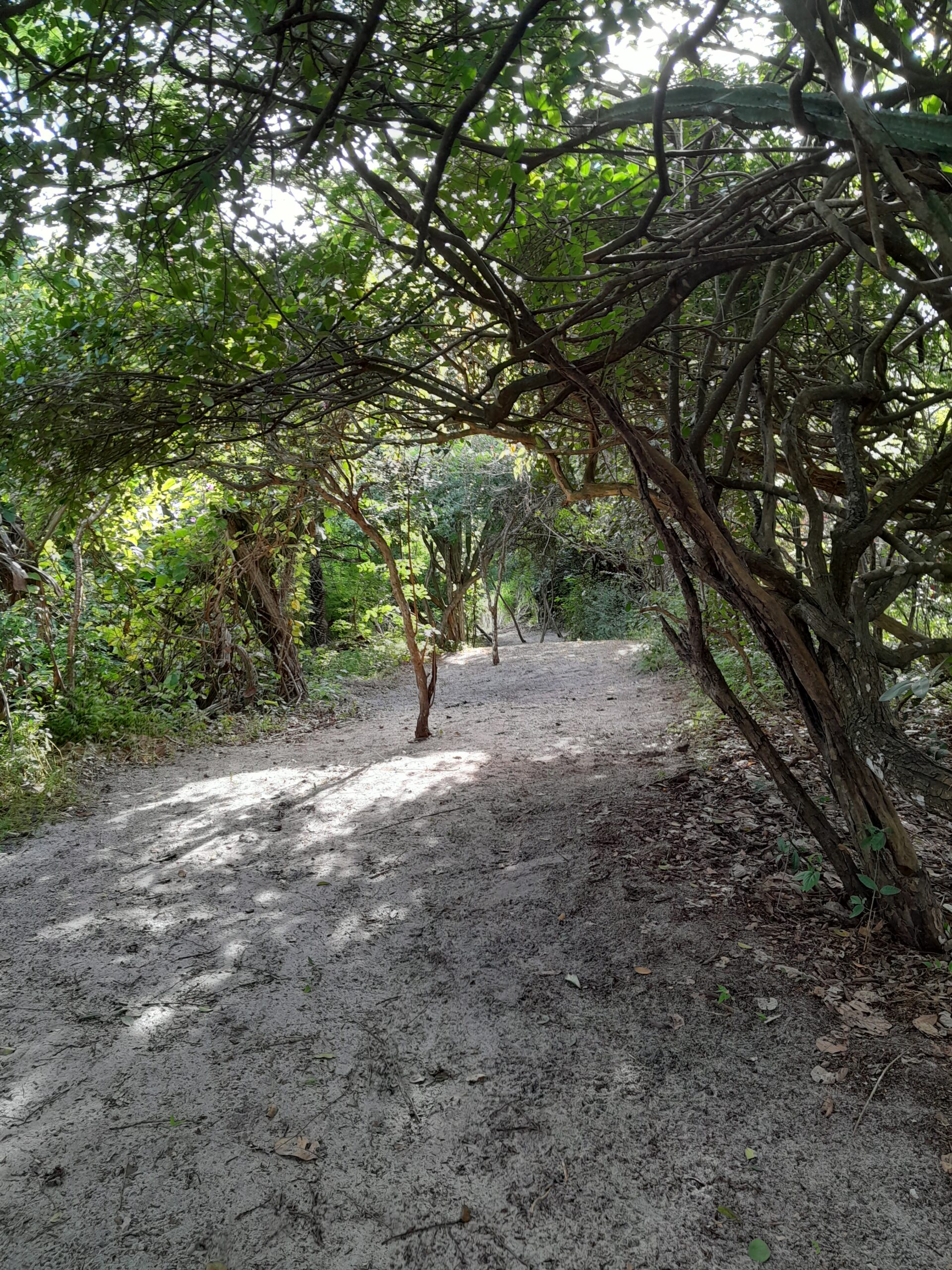 15 x 227 Frente Lagoa do Paraíso