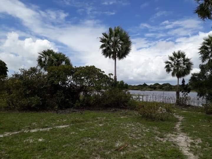 Terrenos Lagoa do Paraíso